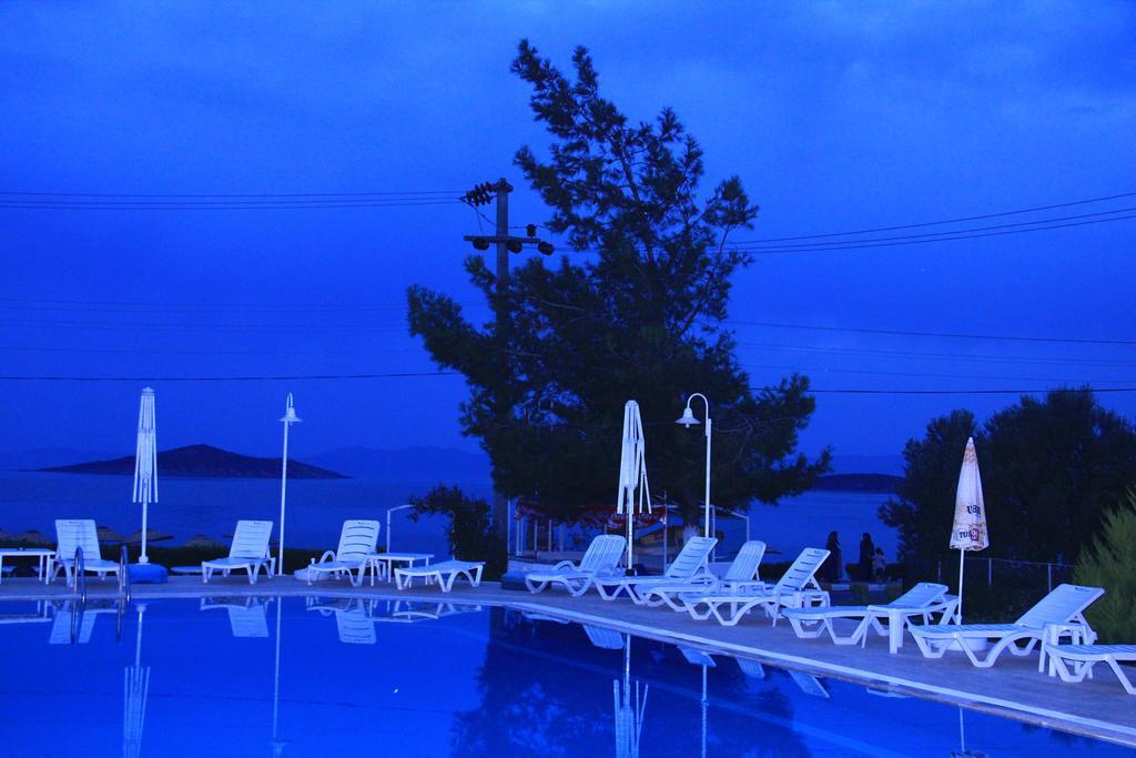 Guest house Ege & *