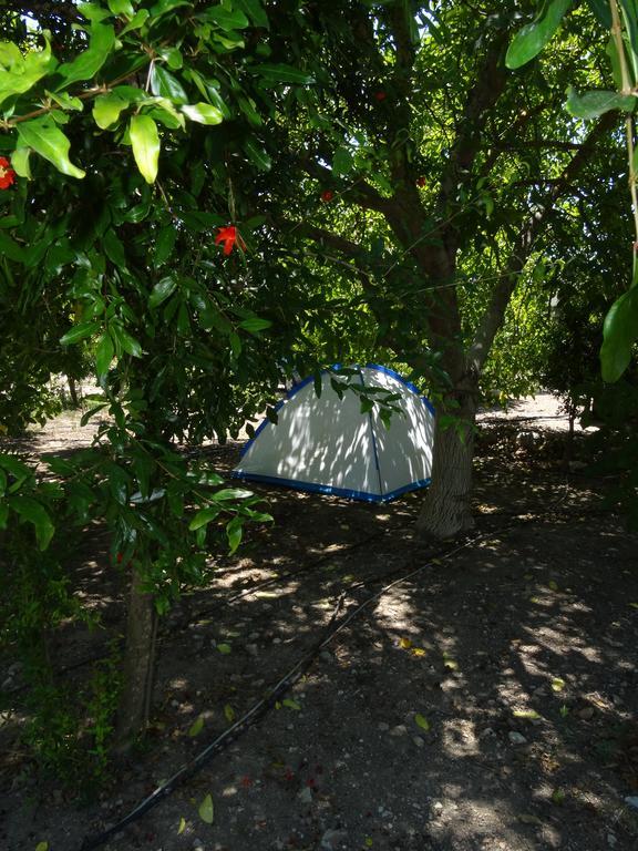 Guest house Nar