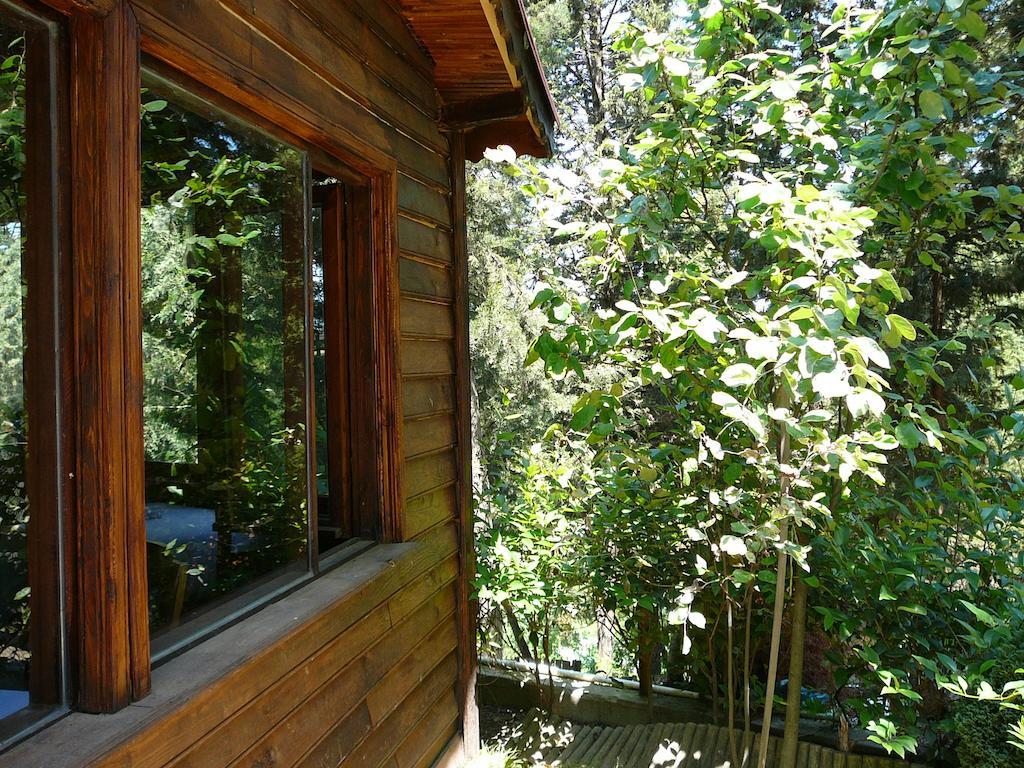 Forest Lodge *