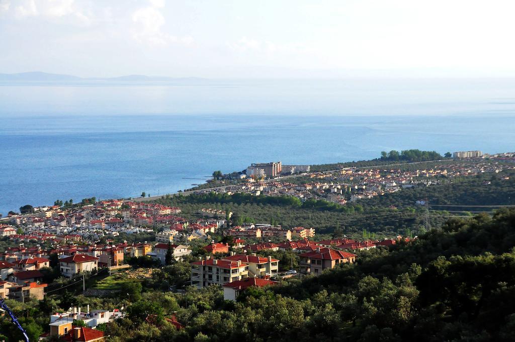 Rezone Health & Oxygen Kazdaglari