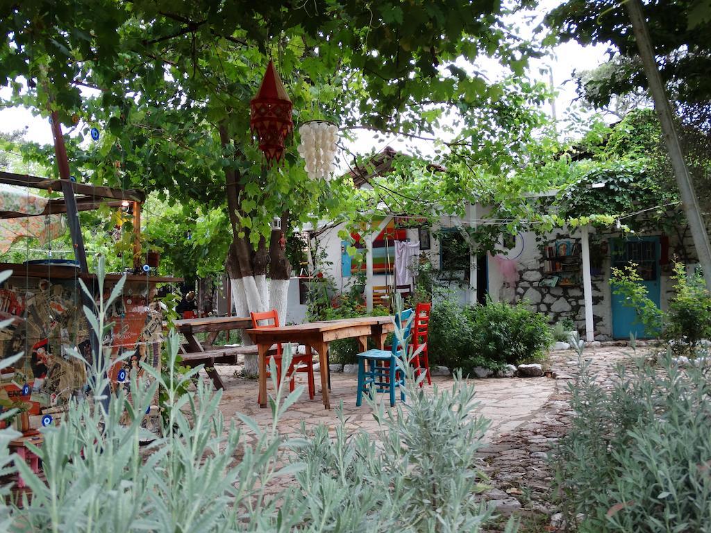 Guest house Nar