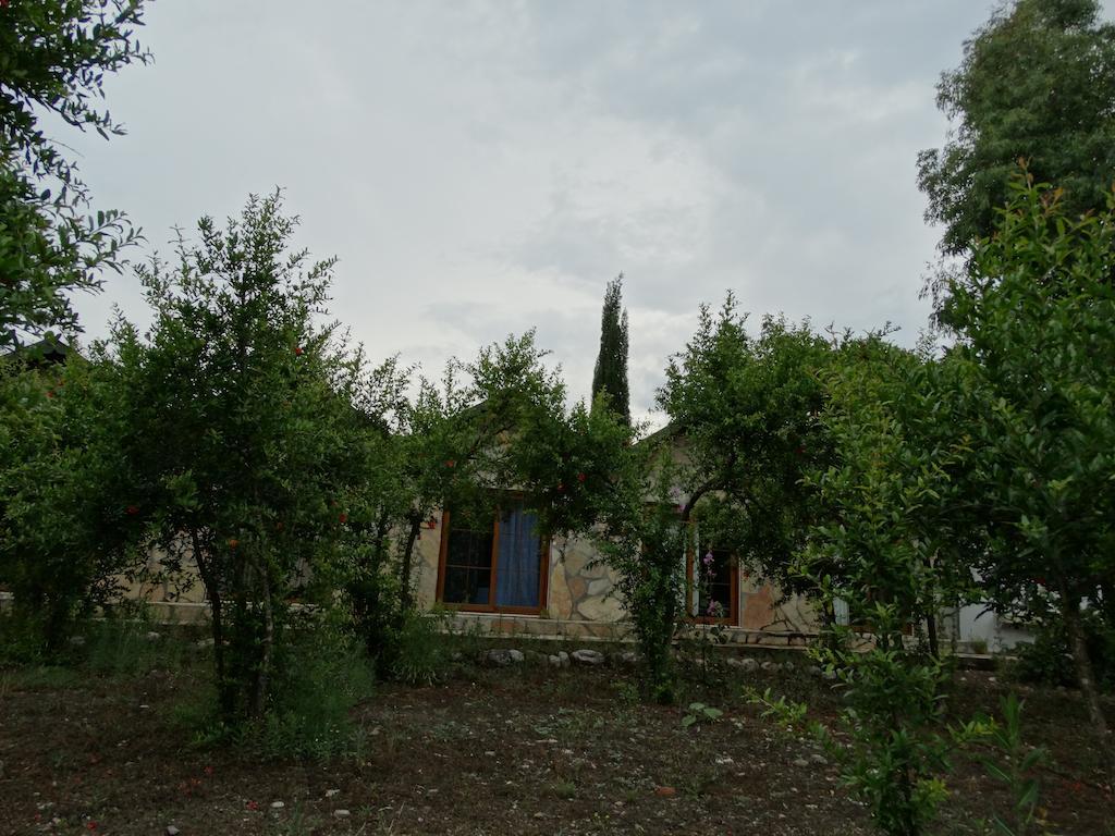Guest house Nar