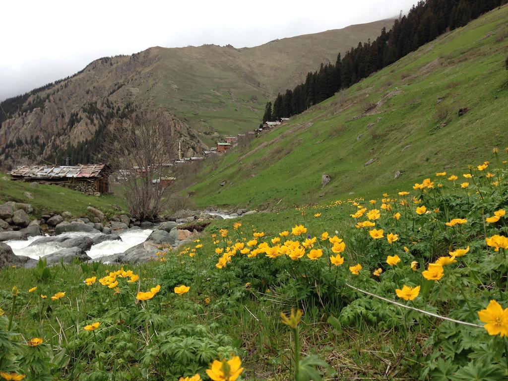 Yedigoller & Restaurant 2* Uzungol