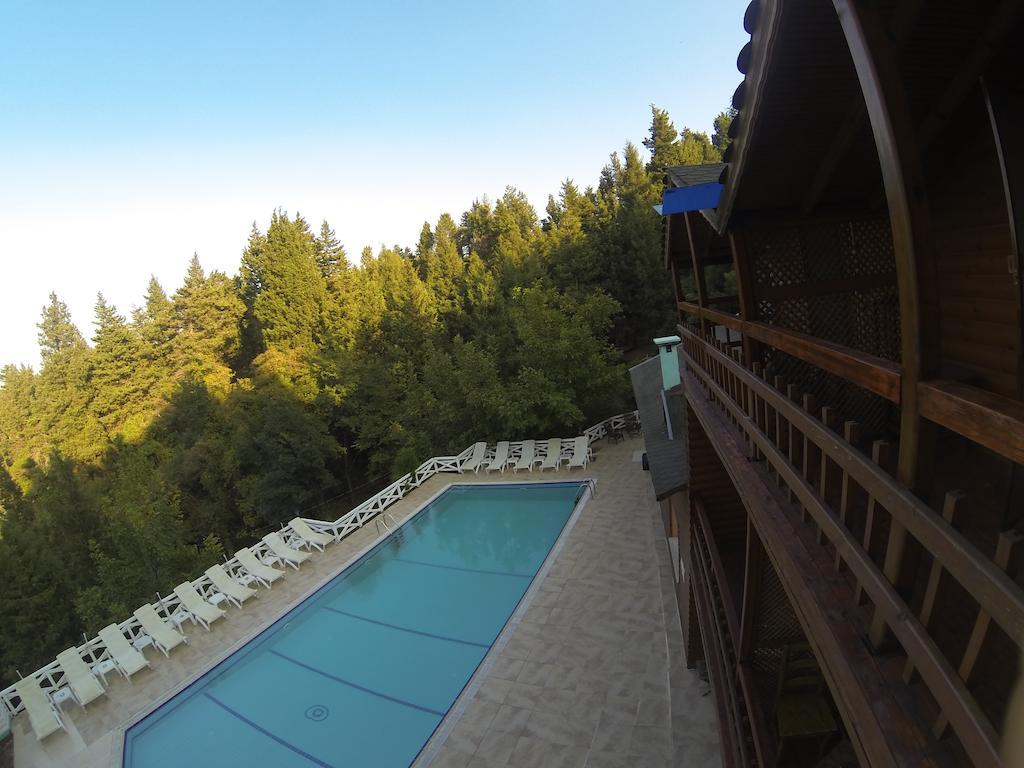 Lodge Forest Agva (Marmara)