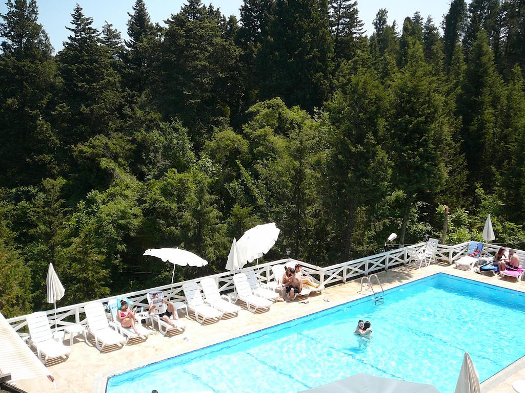 Lodge Forest
