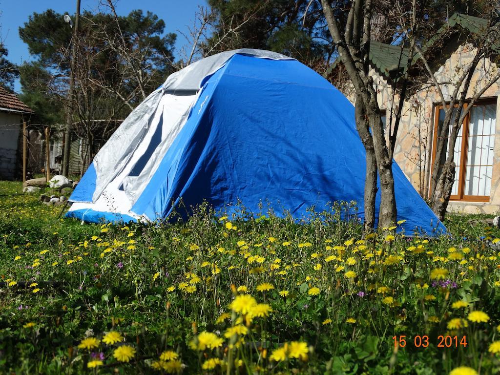 Guest house Nar Olympos