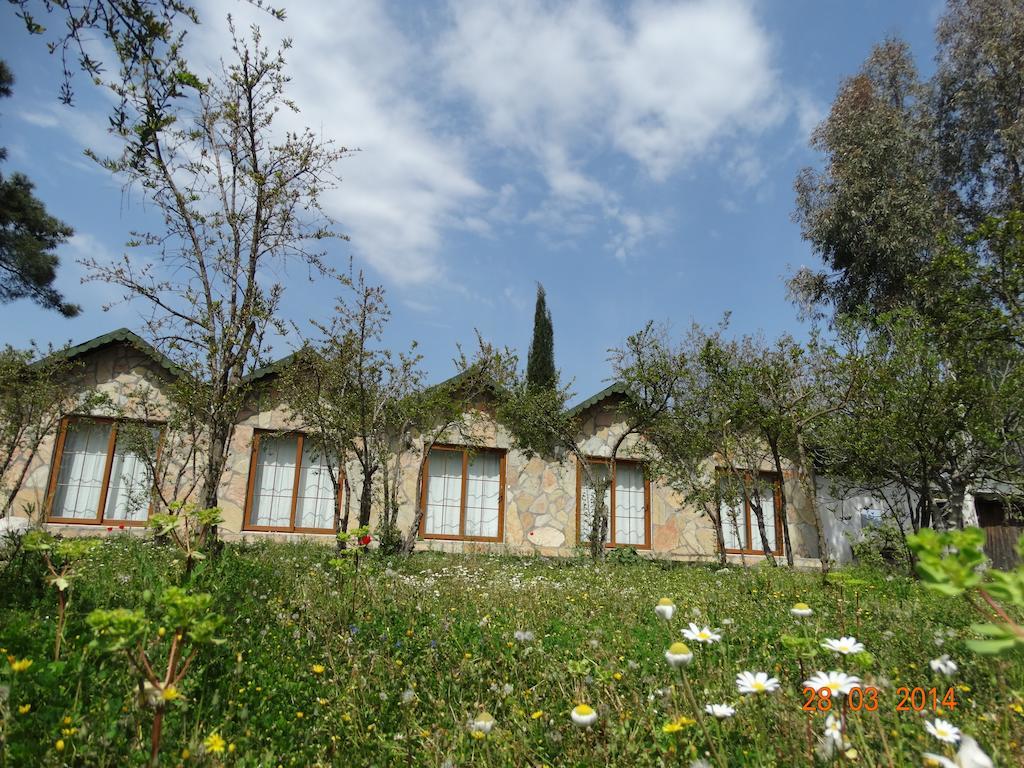 Guest house Nar *
