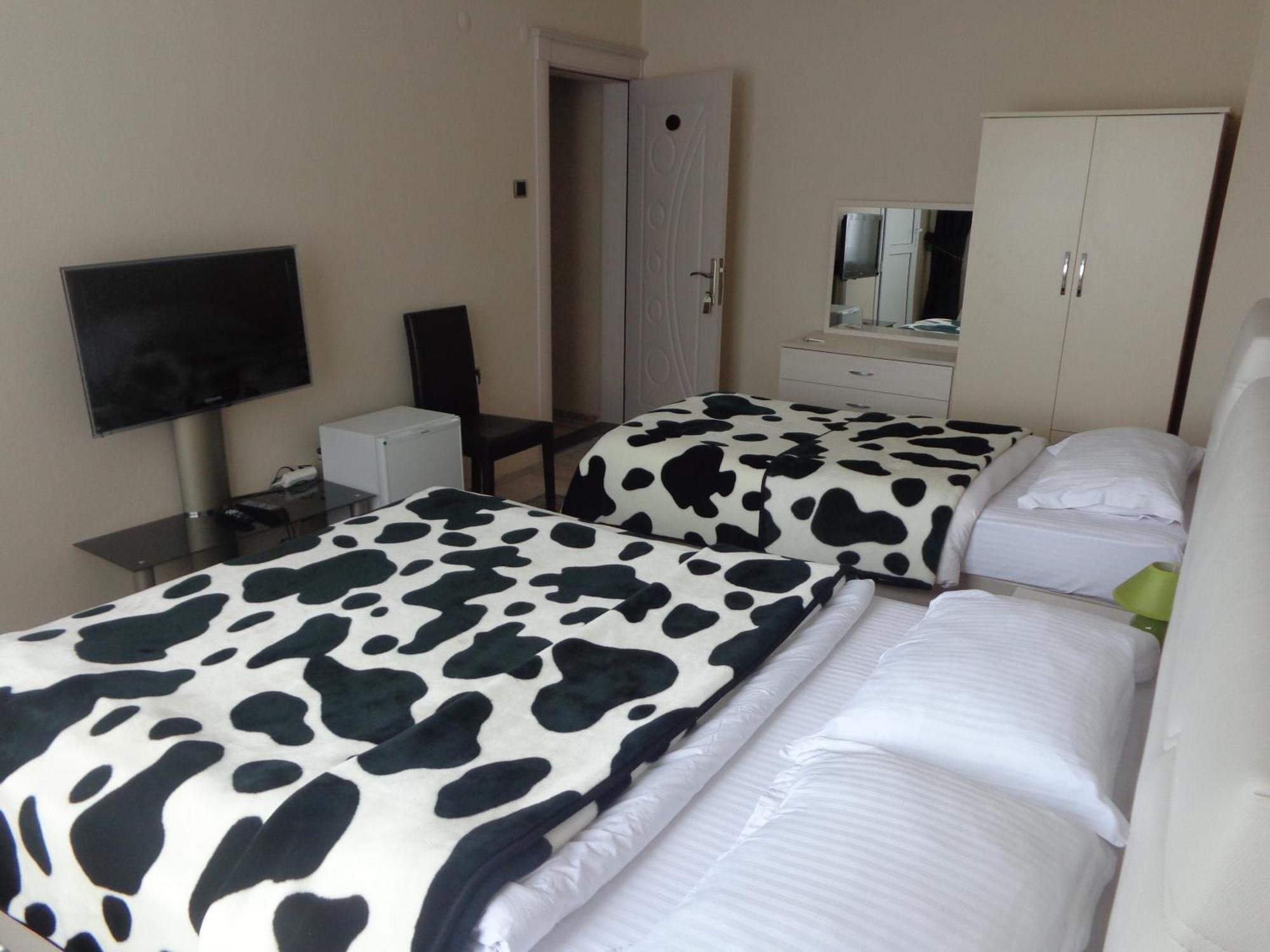Serapion Hotel Bergama