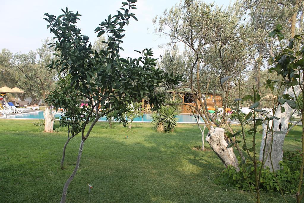 Hotel Assos Oleas