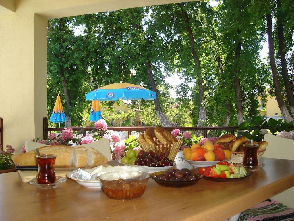 Villa Begonville *