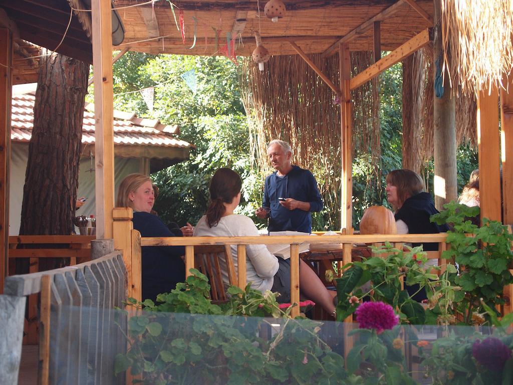 Resort Yuva Eco Holiday Yoga Retreat