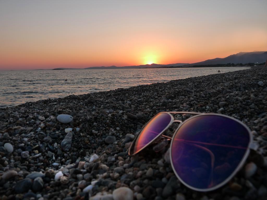 Palmiye Ozdere
