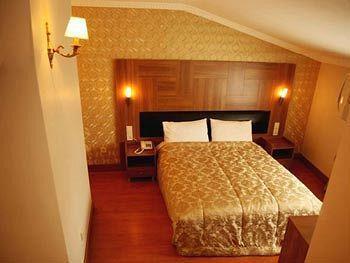 Hotel Elasophia