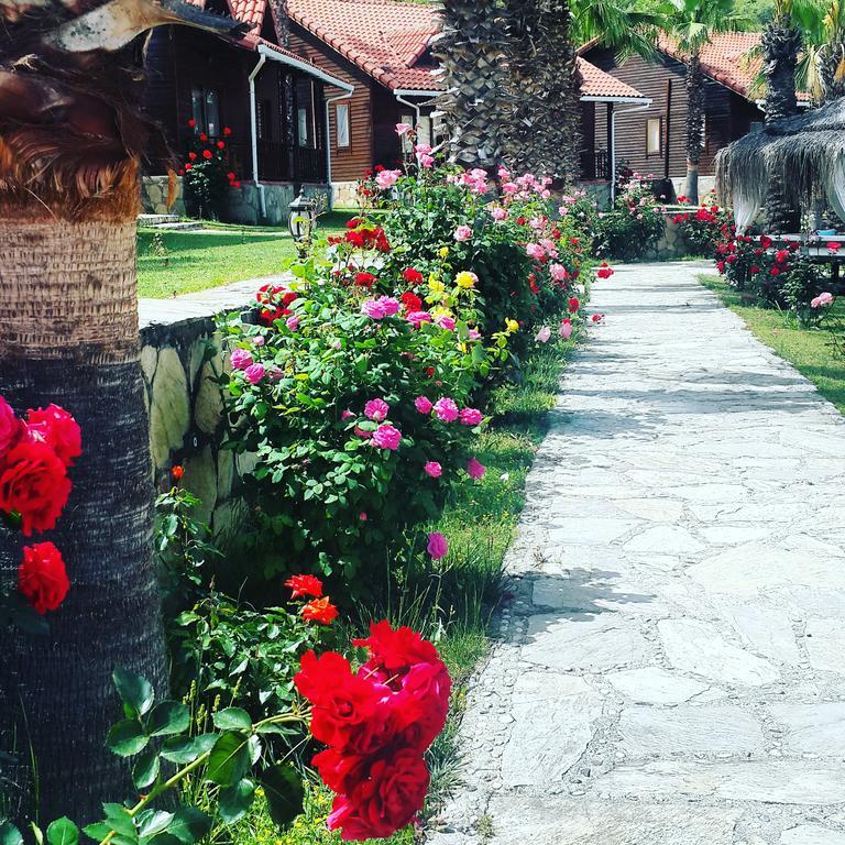 Hotel Club Sun Village