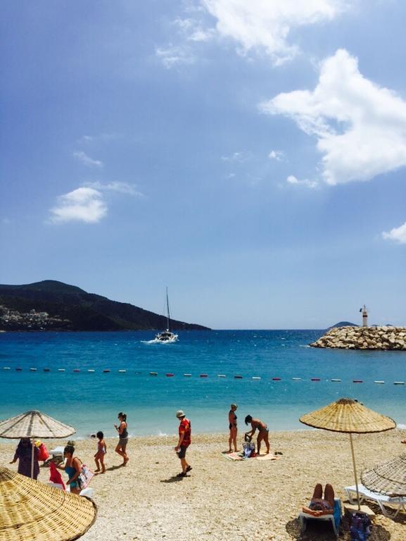 Valo Kalkan