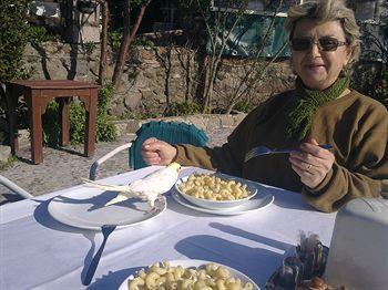 Guest house Terrace 2*