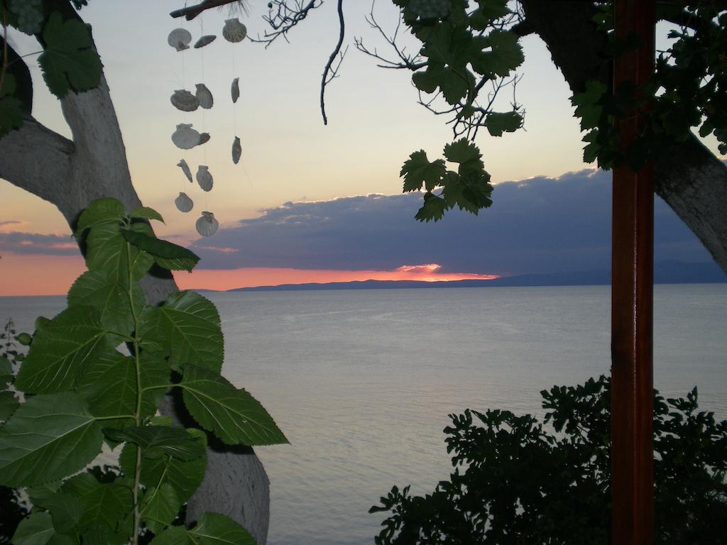 Mola Marmara Adasi