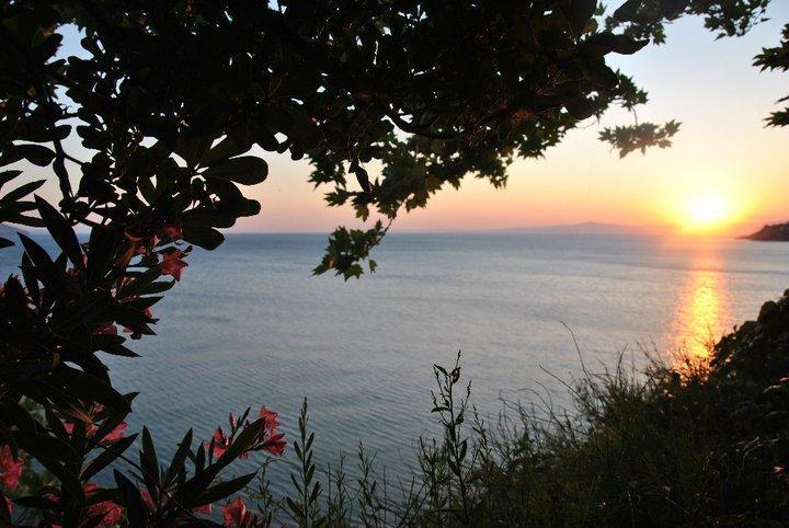 Mola Marmara Adasi