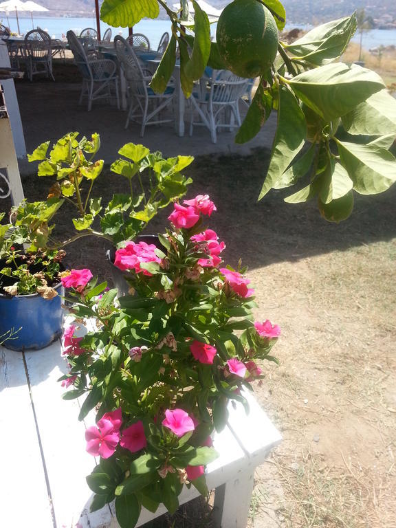 Aparthotel Dantel Sahil *