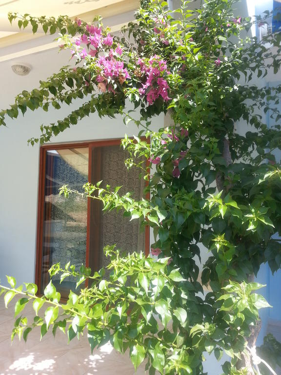 Aparthotel Dantel Sahil