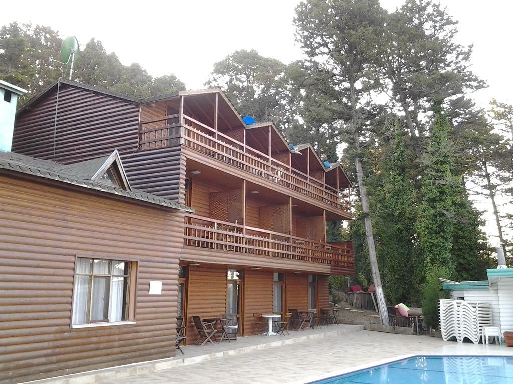 Lodge Forest