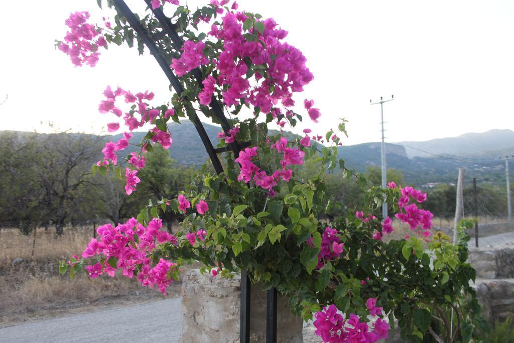 Guest house Datcanka Ahsap & Kutuk Evler Mesudiye (Datca)