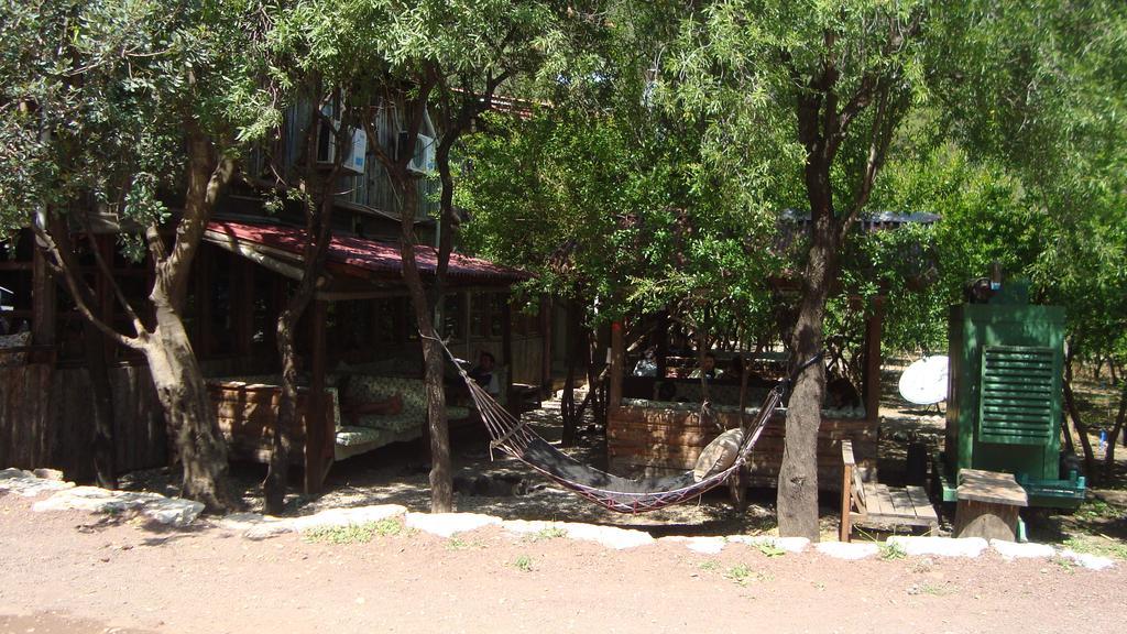 Guest house Varuna & Restaurant Olympos