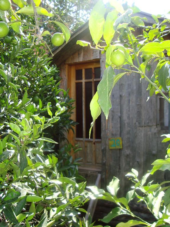 Guest house Varuna & Restaurant
