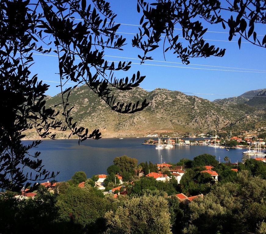 Kapri