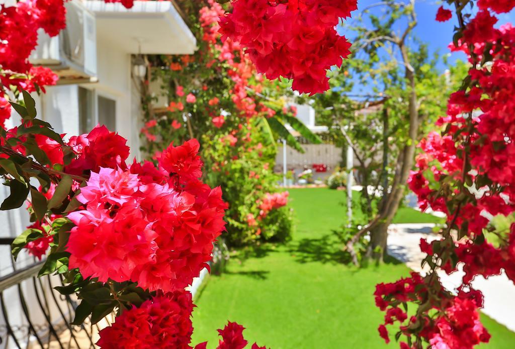 Bed & Breakfast Kiraz Butik