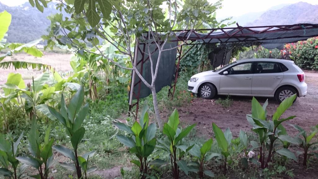 Guest house Sera