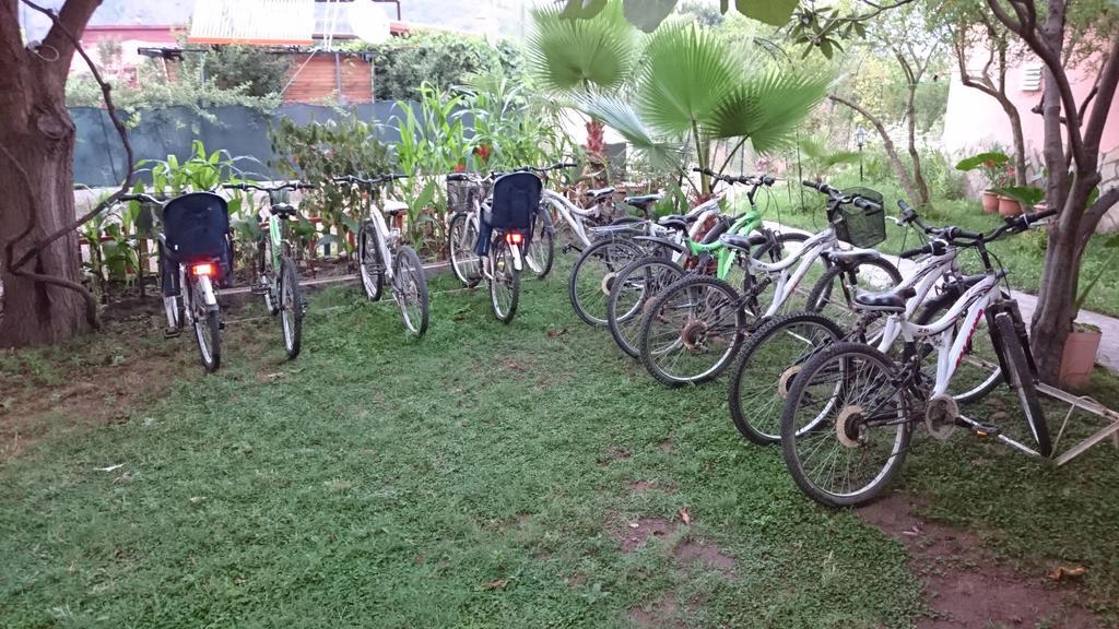 Guest house Sera Cirali