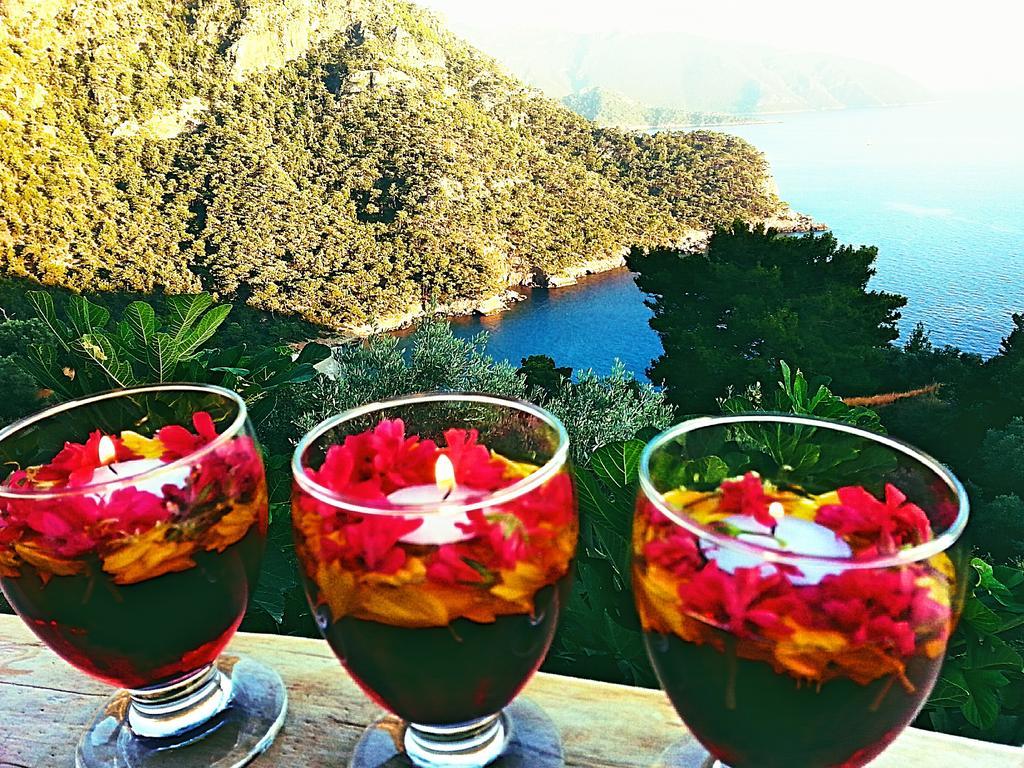 Holiday park Olive Garden Kabak 2*