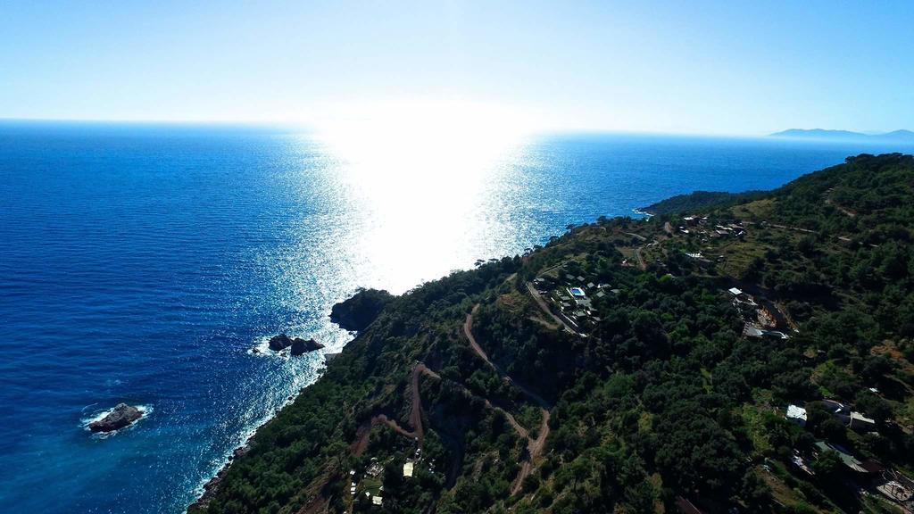 Olive Garden Kabak Faralya