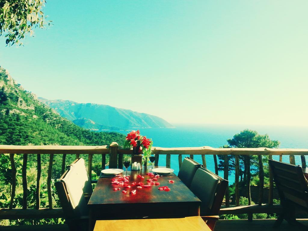 Olive Garden Kabak Faralya