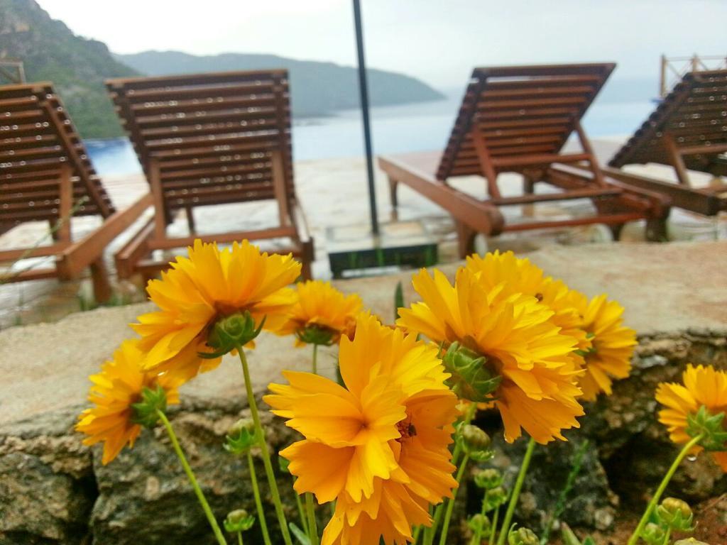 Olive Garden Kabak