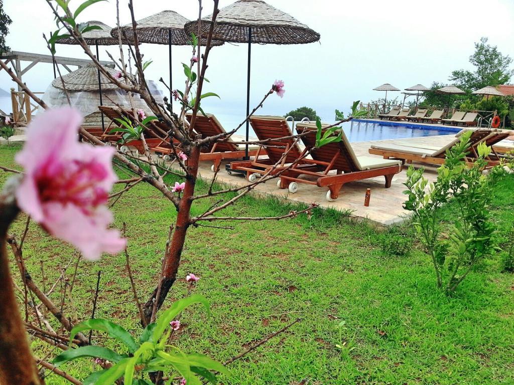 Holiday park Olive Garden Kabak