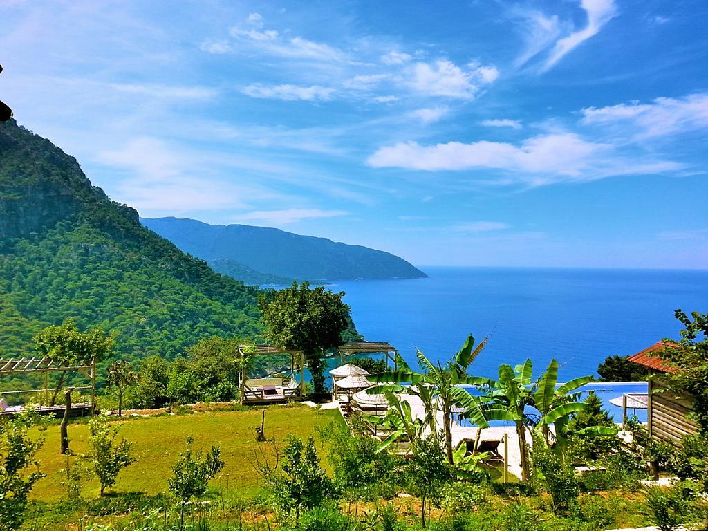 Holiday park Olive Garden Kabak