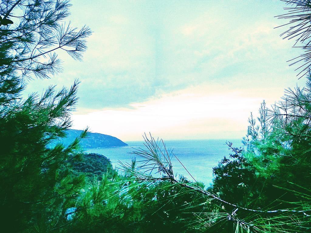 Olive Garden Kabak Faralya