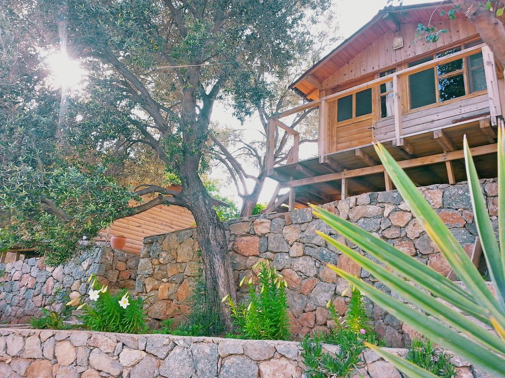 Holiday park Olive Garden Kabak Faralya