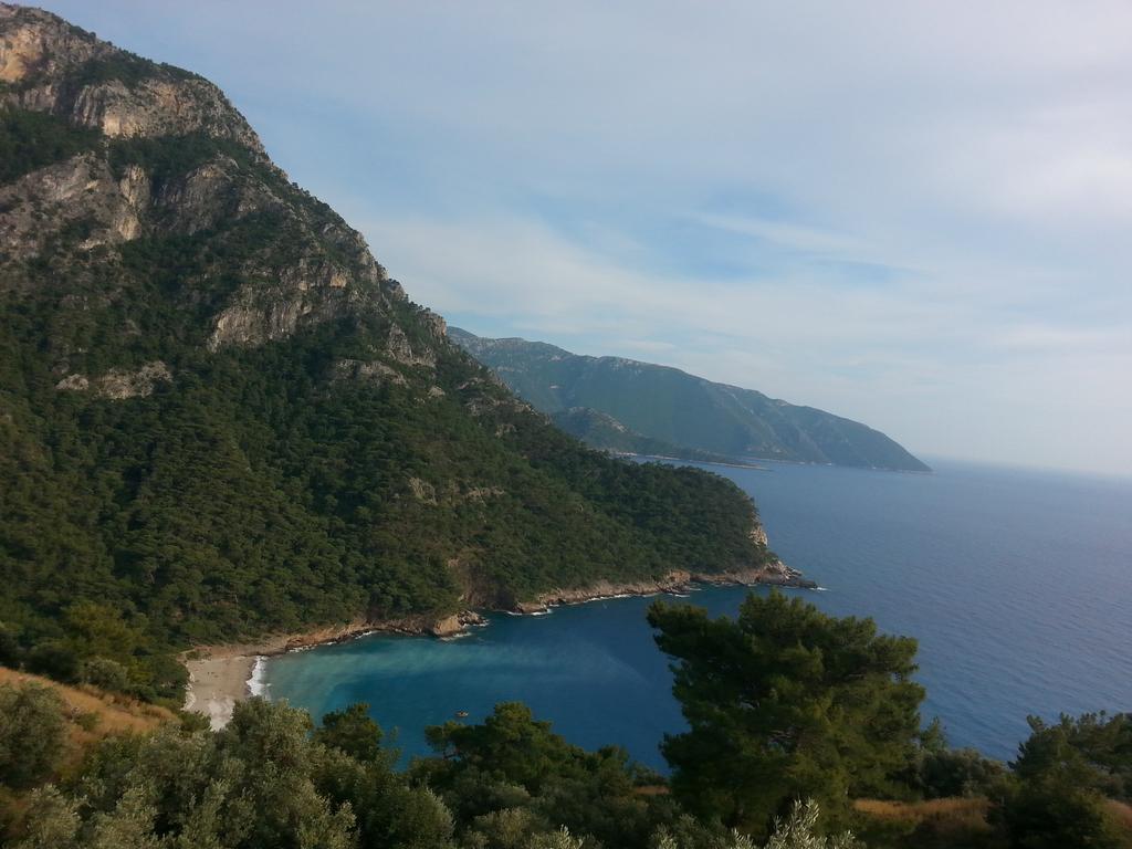 Olive Garden Kabak Faralya