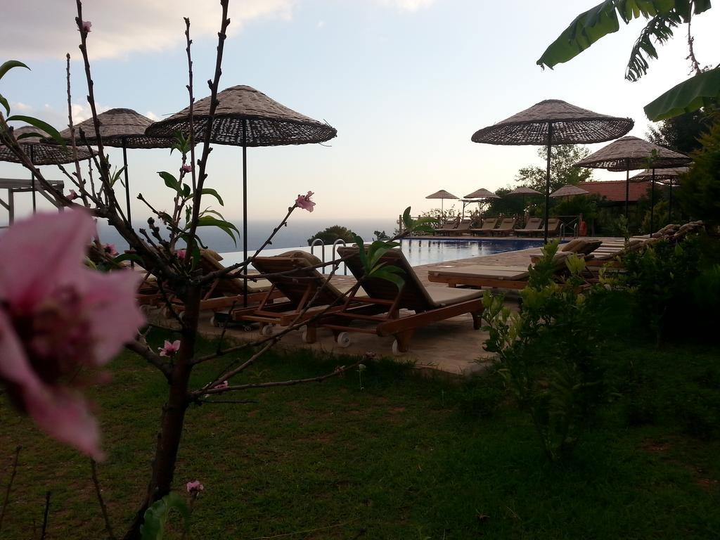 Holiday park Olive Garden Kabak Faralya