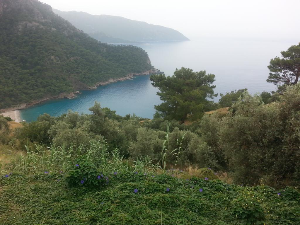 Olive Garden Kabak