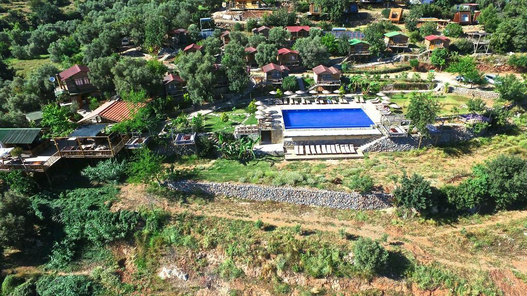 Olive Garden Kabak Faralya