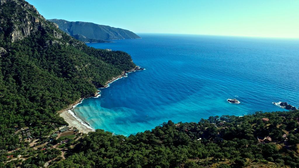 Olive Garden Kabak Faralya