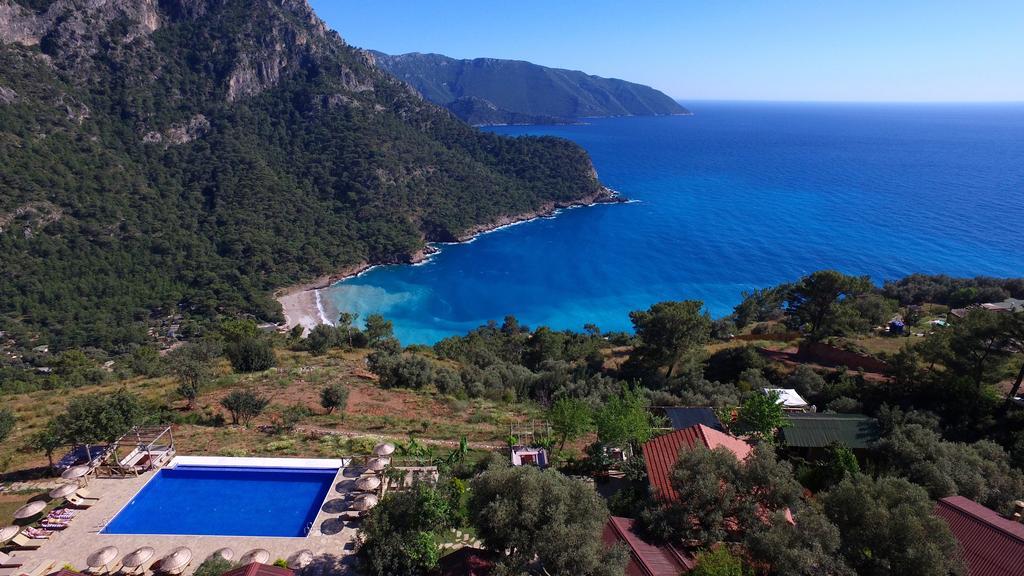 Olive Garden Kabak Faralya
