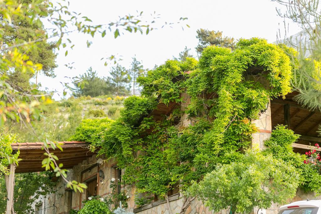 Olympos Mountain Beycik