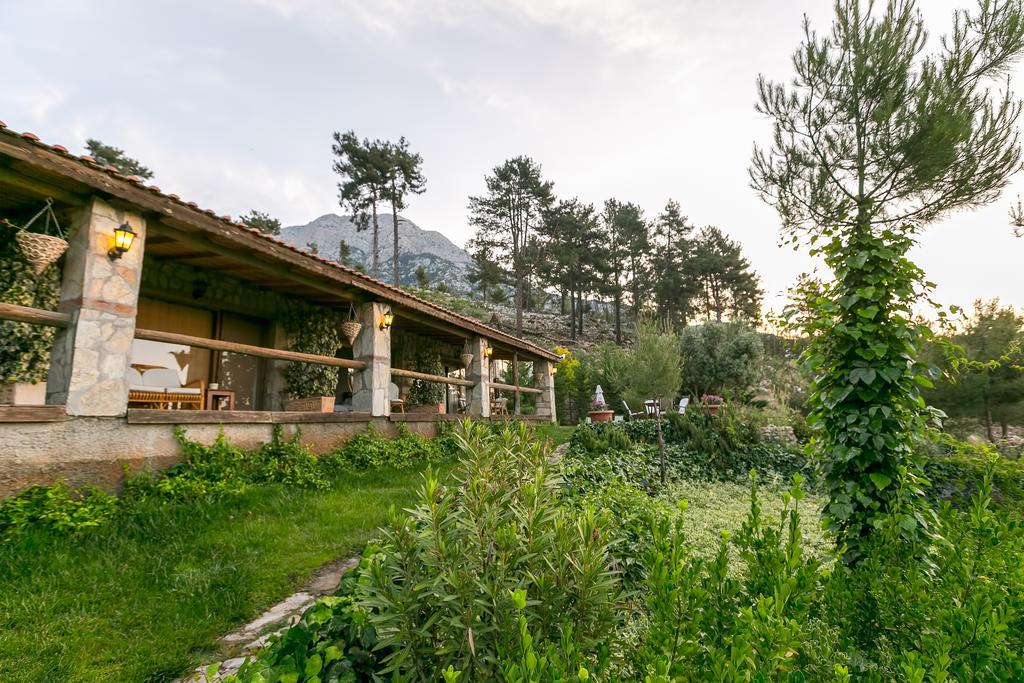 Olympos Mountain Beycik