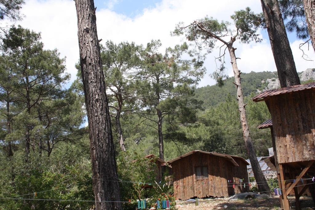 Holiday park Saban Tree