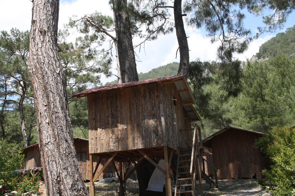 Holiday park Saban Tree Kumluca